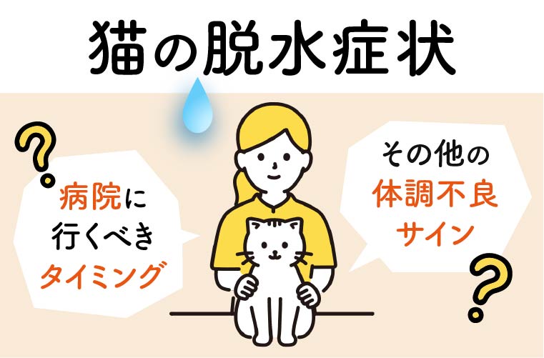 【SHINE+】猫の脱水症状｜病院に行くべきタイミングやその他の体調不良サイン